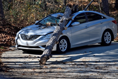 A car damaged by a tree representing crash accident